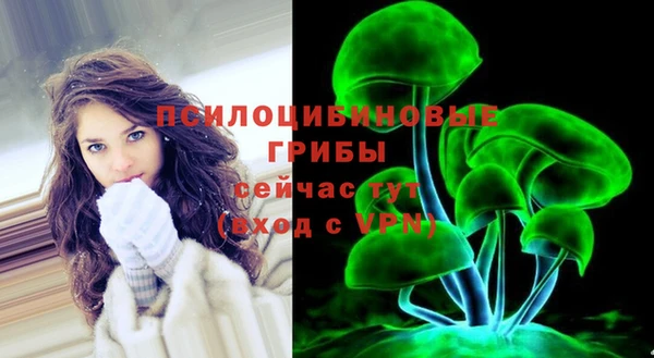 2c-b Липки