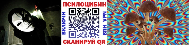 Псилоцибиновые грибы Psilocybine cubensis Юрга