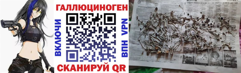 Псилоцибиновые грибы Magic Shrooms  наркошоп  Юрга 
