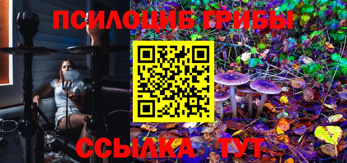Юрга  Псилоцибиновые грибы Cubensis  Вход с VPN 